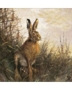 Papierservietten Hase, 20 Stk. 33 x 33 cm.